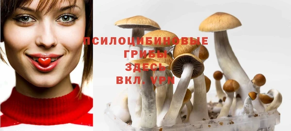 ПСИЛОЦИБИНОВЫЕ ГРИБЫ Алексеевка