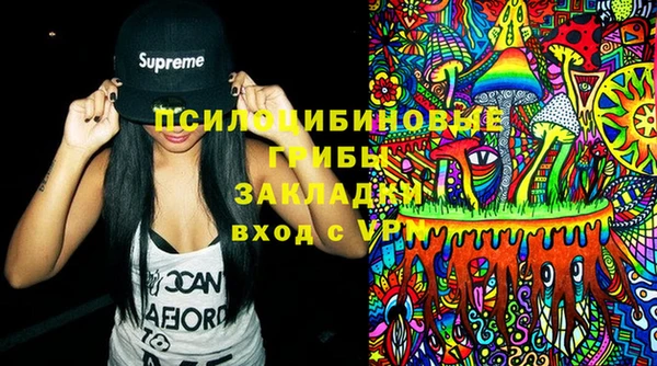 кокс Алексин