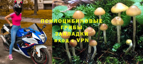 ПСИЛОЦИБИНОВЫЕ ГРИБЫ Алексеевка